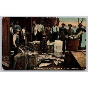 Postcard Florida St. Petersburg Packing Fish at the Dock Posted 1914 Stamp FL